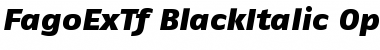 Download FagoExTf BlackItalic Font
