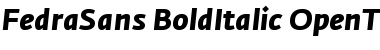 Download Fedra Sans Bold Italic Font Title Preview