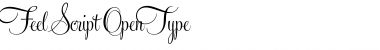 Download Feel Script Regular Font Title Preview