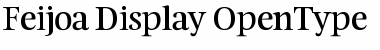 Download Feijoa Display Font Title Preview