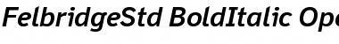 Download Felbridge Std Bold Italic Font Title Preview