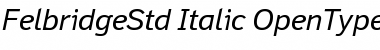 Download Felbridge Std Italic Font Title Preview