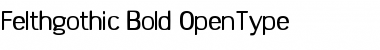 Download Felthgothic Bold Font Title Preview