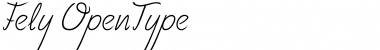 Download Fely Regular Font Title Preview