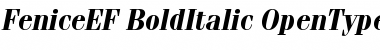 Download FeniceEF-BoldItalic Regular Font Title Preview