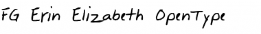 Download FG Erin-Elizabeth Regular Font Title Preview