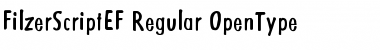 Download FilzerScriptEF Regular Font Title Preview