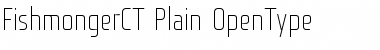 Download Fishmonger CT Plain Font Title Preview
