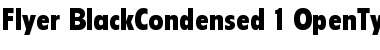 Download Flyer Black Condensed Font Title Preview