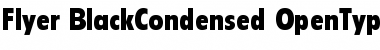Download Flyer Black Condensed Font Title Preview
