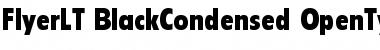 Download Flyer LT Black Condensed Font Title Preview