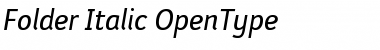 Download Folder Italic Font Title Preview