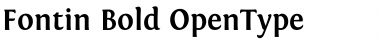 Download Fontin Bold Font Title Preview