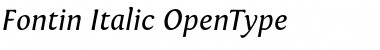 Download Fontin Italic Font Title Preview
