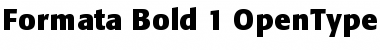 Download Formata Bold Font Title Preview