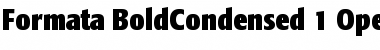 Download Formata Bold Condensed Font Title Preview