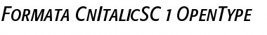 Download Formata Condensed Italic Small Caps & Oldstyle Figures Font Title Preview