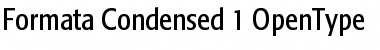 Download Formata Condensed Font Title Preview