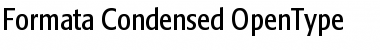 Download Formata Condensed Font Title Preview