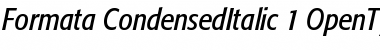 Download Formata Condensed Italic Font Title Preview