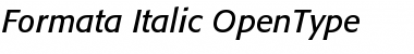 Download Formata Italic Font Title Preview