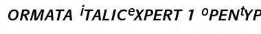 Download Formata Italic Expert Font Title Preview