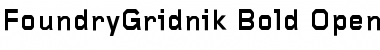 Download FoundryGridnik Bold Font Title Preview