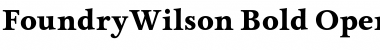 Download FoundryWilson Bold Font Title Preview