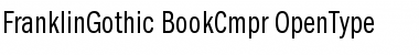 Download ITC Franklin Gothic Book Compressed Font Title Preview