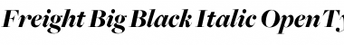 Download Freight Big Black Italic Font Title Preview