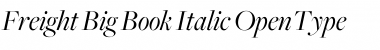 Download Freight Big Book Italic Font Title Preview