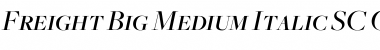Download Freight Big Medium Italic SC Font Title Preview