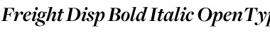 Download Freight Disp Bold Italic Font Title Preview