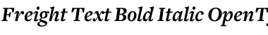 Download Freight Text Bold Italic Font Title Preview
