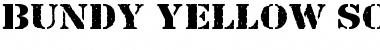 Download Bundy Yellow Solid Font Title Preview