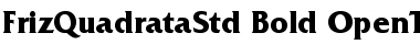Download Friz Quadrata Std Bold Font Title Preview
