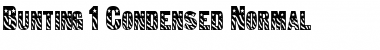 Download Bunting 1Condensed Normal Font Title Preview