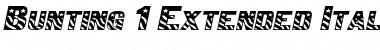 Download Bunting 1Extended Italic Font Title Preview