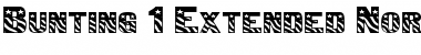 Download Bunting 1Extended Normal Font Title Preview