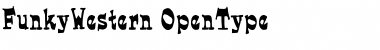 Download FunkyWestern Regular Font Title Preview