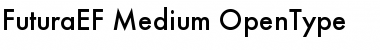 Download FuturaEF Medium Font