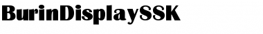 Download BurinDisplaySSK Regular Font Title Preview