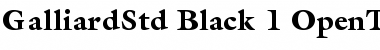 Download ITC Galliard Std Black Font Title Preview