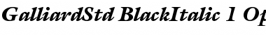 Download ITC Galliard Std Black Italic Font Title Preview