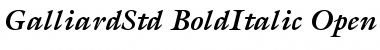 Download ITC Galliard Std Bold Italic Font Title Preview