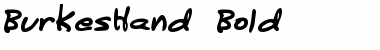 Download BurkesHand Bold Font Title Preview