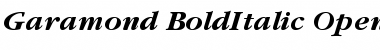 Download ITC Garamond Bold Italic Font Title Preview