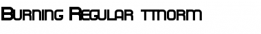 Download Burning Regular Font Title Preview