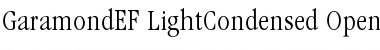 Download GaramondEF LightCondensed Font