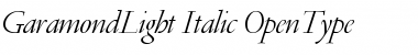 Download GaramondLight Italic Font